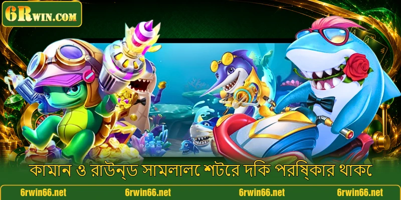 কামান ও রাউন্ড সামলালে শটের দিক পরিষ্কার থাকে