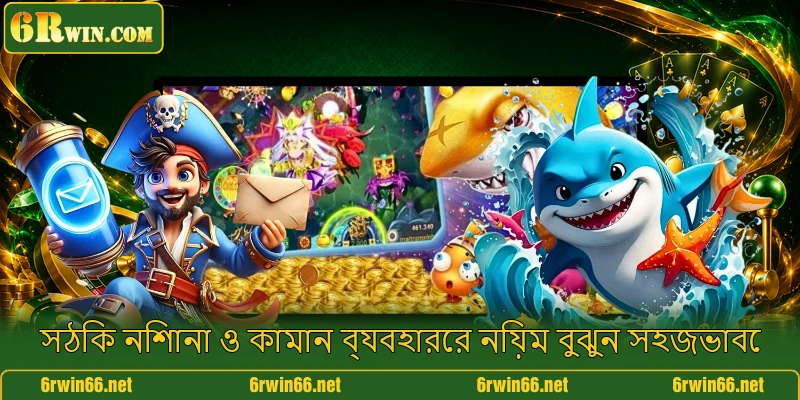 সঠিক নিশানা ও কামান ব্যবহারের নিয়ম বুঝুন সহজভাবে